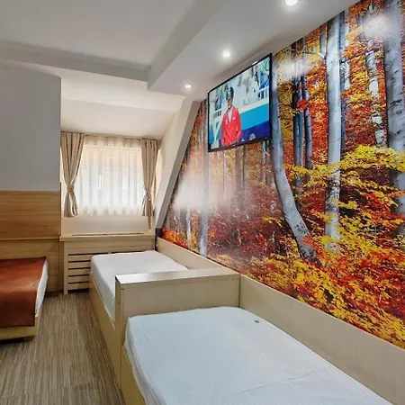Angella Kop Konaci Apartment Kopaonik